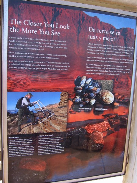 The closer you look, the more you see. Park rangers periodically identify and count the organisms to monitor the health of each species.