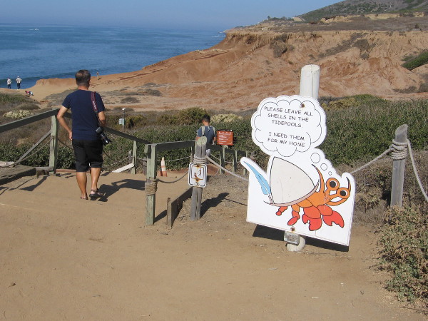 A funny crab asks visitors to please leave all shells in the tidepools.