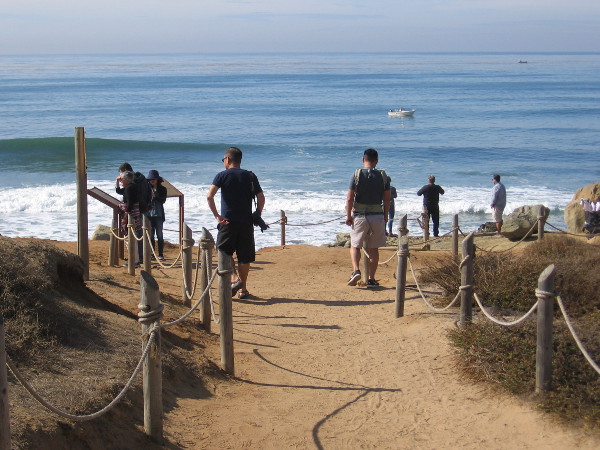 Approaching a pair of information signs atop the overlook. The blue Pacific Ocean waves smoothly curl below.