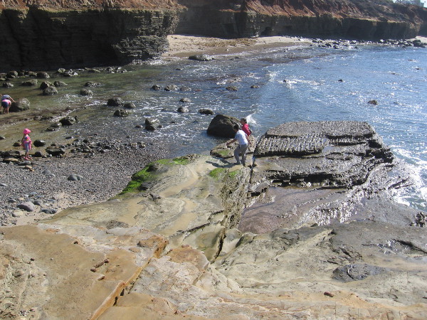 A wide flat rock dips dips toward the ocean at one end of the tidepools, making a perfect platform for exploration when the tide goes out.