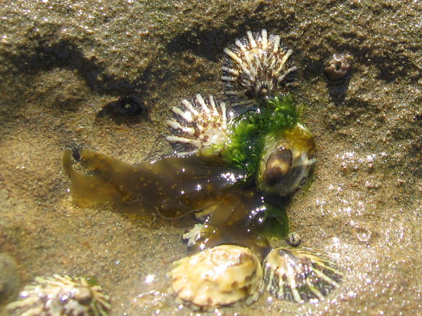 Beauty that defies description.