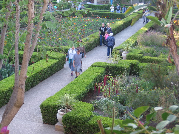 Gazing down upon the dreamy Alcazar Garden.