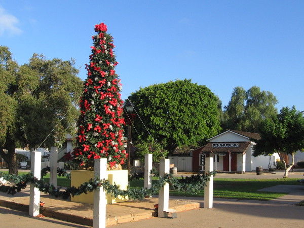 The annual Christmas tree has appeared near the flagpole at the center of Old Town's historic plaza.