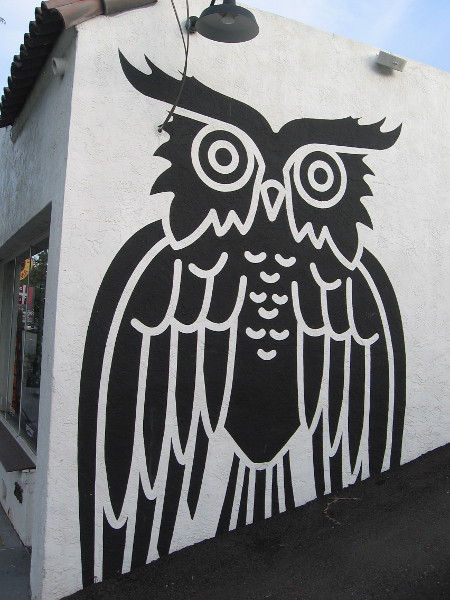 An owl watches over India Street.