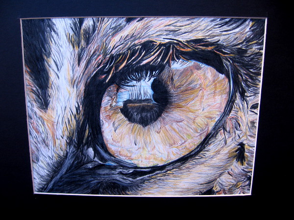 In the Leopard's Gaze, Armida Angulo, colored pencil. Grossmont High School.