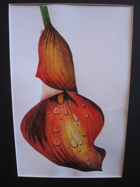 Dripping Lily, Evelyn DuVall, watercolor and ink. IDEA Center High School.