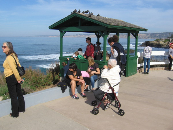 People look toward Children's Pool from the shady green gazebo.