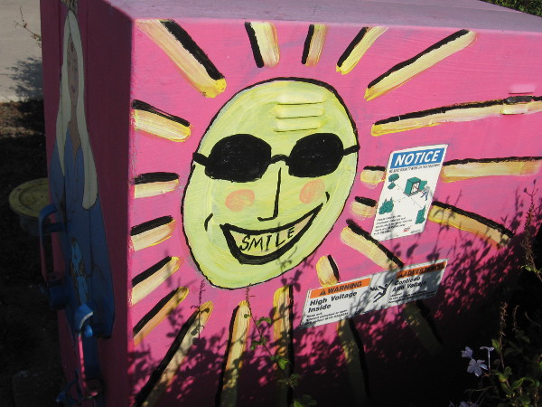 Cool sun in sunglasses with a big SMILE.