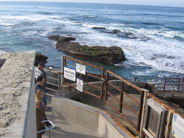 Looking west from the closed Children's Pool toward the broad Pacific Ocean and gently breaking waves.