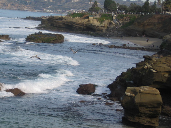 The pelicans fly toward Seal Rock and Shell Beach and the rocky shoreline west of La Jolla Cove.