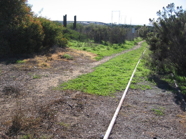 Old railroad tracks run along the west edge of Paradise Marsh.