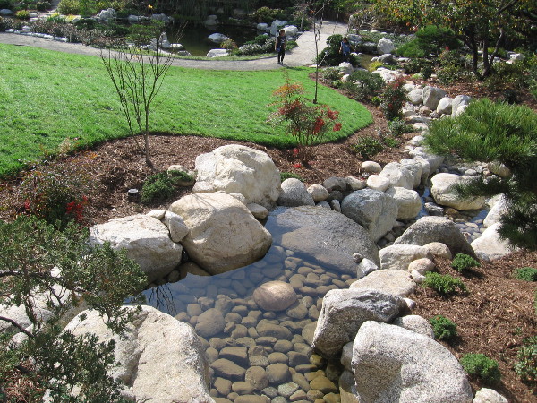 Gazing down at the second half of the new stream to where it joins the Lower Garden's main river.