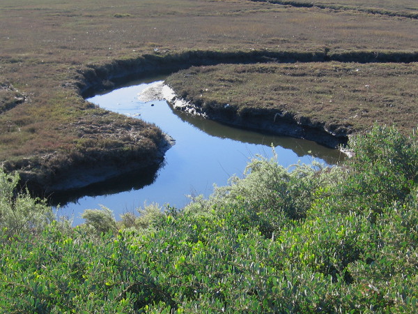 A beautiful tidal salt marsh wetland can be viewed in National City.