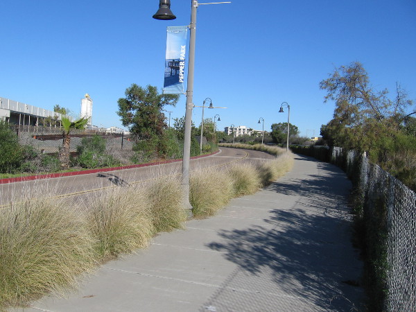 Looking back north along the Paradise Creek Trail, between Paradise Marsh and the National City Cement Terminal.