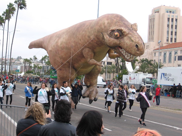 Yikes! Here comes the scariest Holiday Bowl Parade balloon of them all! Tessa the T-Rex!