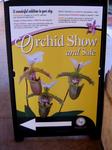 The San Diego County Orchid Society had their Winter Show and Sale in Balboa Park's Casa del Prado this weekend!