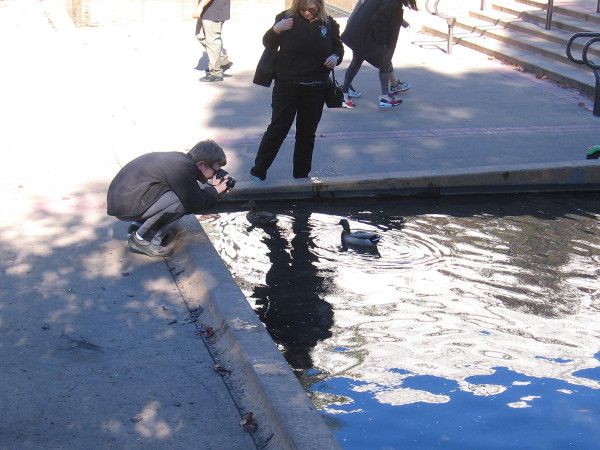 A feathered subject in a magically rippling window appears for a photographer in Balboa Park.