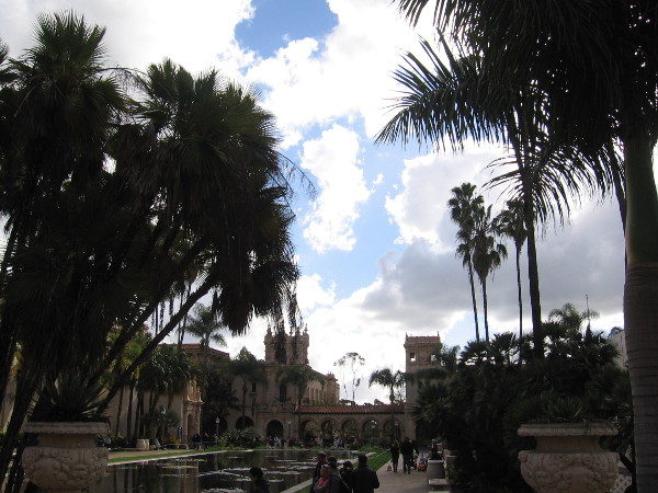 An elemental drama. Trees battle sky.