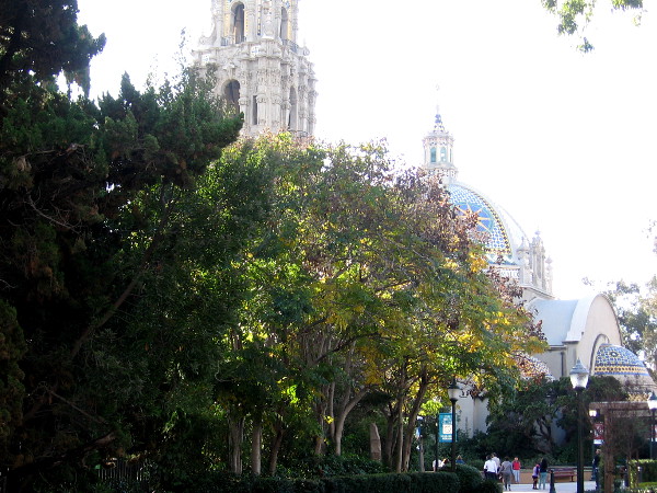 In one photo nature subdues architecture.