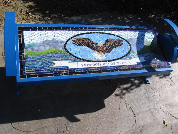 A bald eagle, symbol of the United States. Freedom Is Not Free.