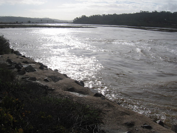 Looking west along Los Peñasquitos Lagoon. Light shines on a sheet of water swollen by high tide.