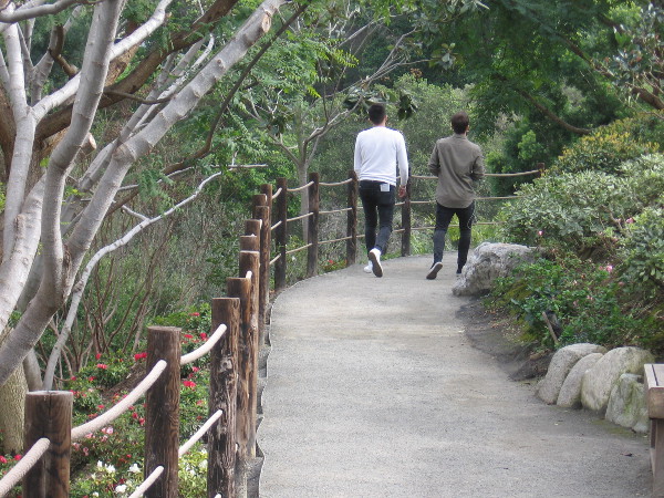 Meanwhile, folks walk through the always beautiful Japanese Friendship Garden.