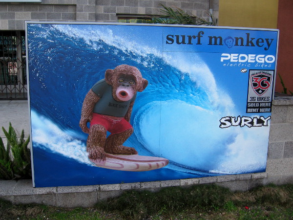 A cool surf monkey in front of a Pacific Beach shop.
