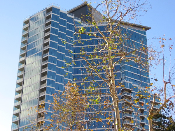 Green leaves and shining windows in new sunlight.