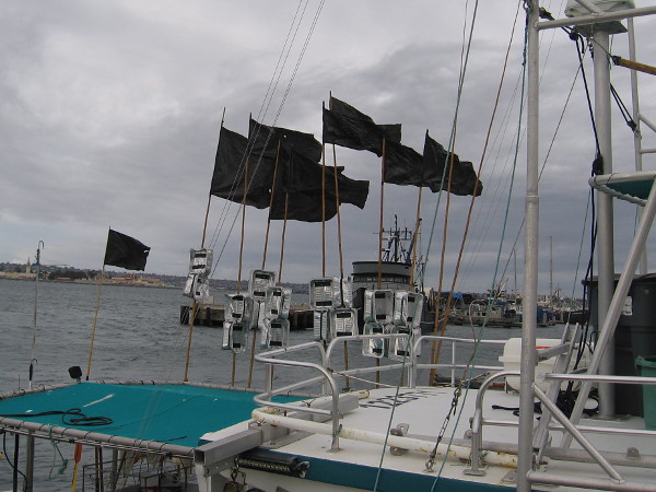 The wind on San Diego Bay was really picking up by mid-morning.