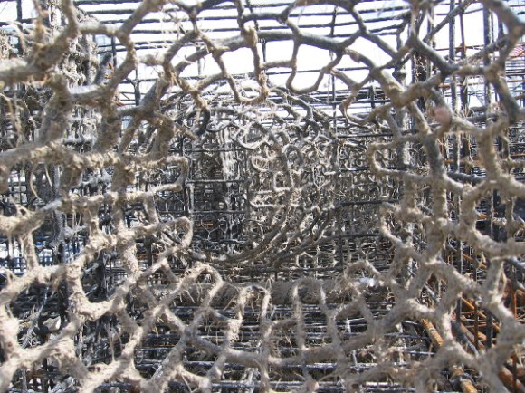 I aim my camera through stacked lobster traps.