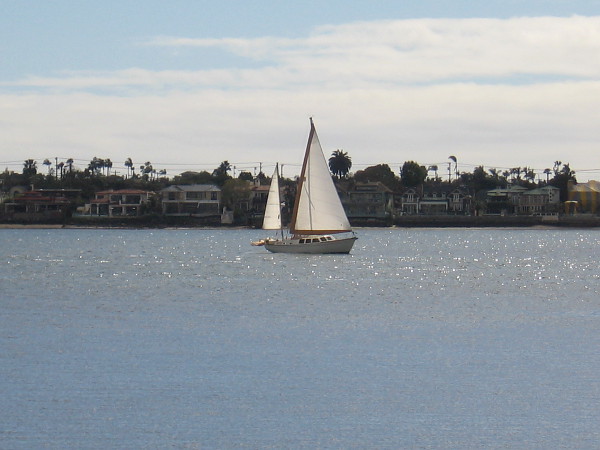 A bright sailboat on San Diego Bay, with Coronado in the background.