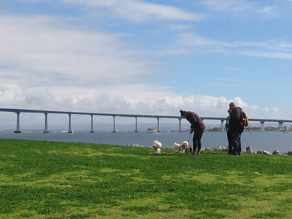 People with dogs on the grass, the Coronado Bay Bridge in the distance.