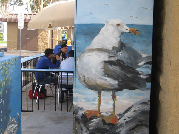 A large gull near diners at Burgers, Bait and Beer.