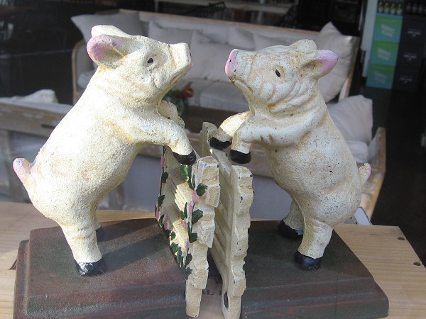 Two neighbors have a friendly oink over their fence.