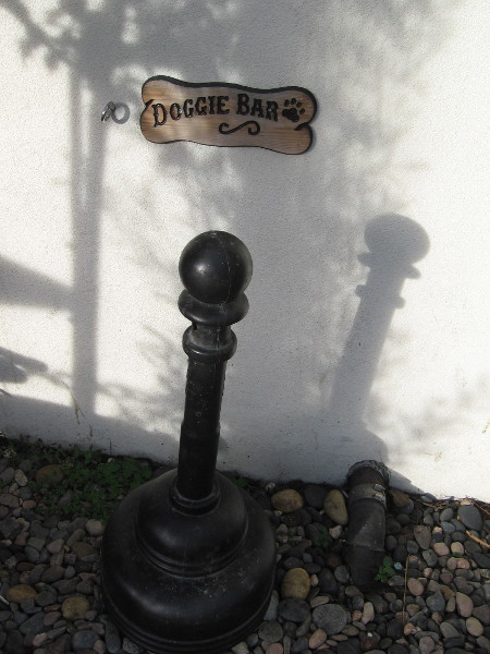 There are many bars in Little Italy. There is also a Doggie Bar.