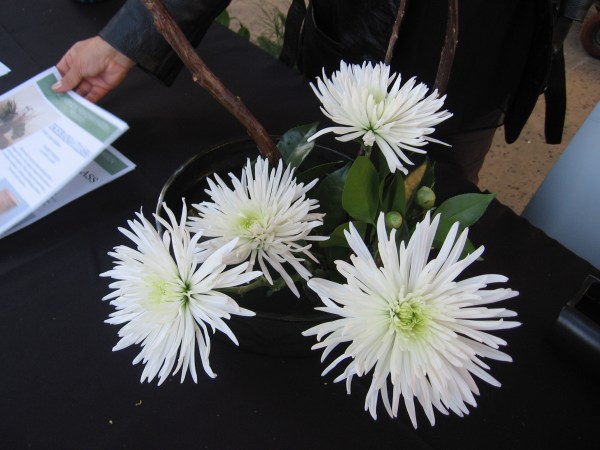 Ikebana flower arrangements added even more beauty to the event. The demonstration was hosted by Sharon Bristow at the Japanese booth.