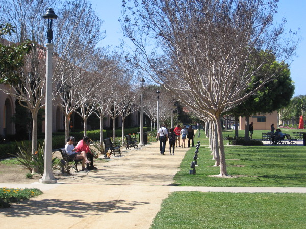 Liberty Station in Point Loma is a very beautiful part of San Diego.