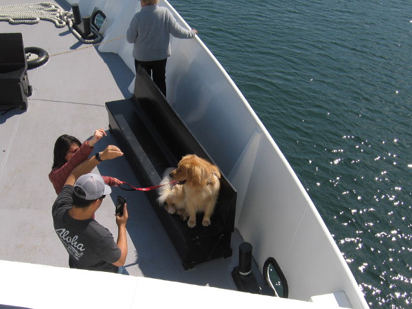A dog and two friends enjoy Pet Day on the Bay aboard the Adventure Hornblower.