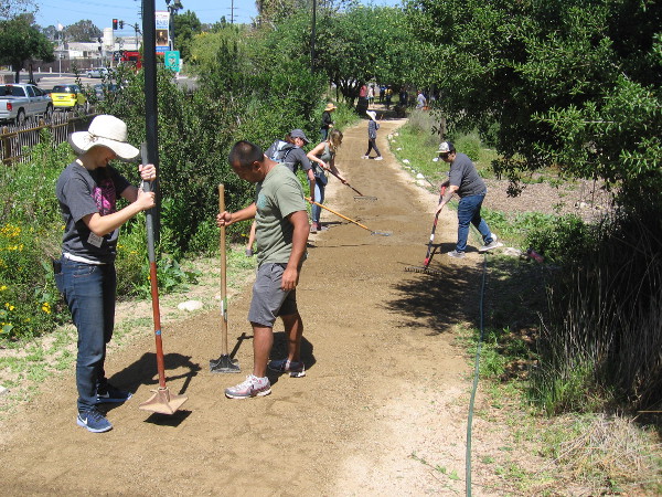 Many volunteers improve the Native Plant Garden near the McCoy House Museum in Old Town San Diego.