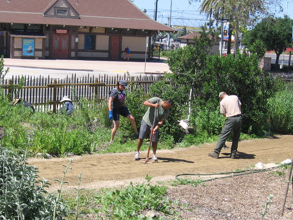 Volunteers work with a State Park Ranger in Old Town's native garden for Earth Day. The Old Town Transit Center is visible in the background.