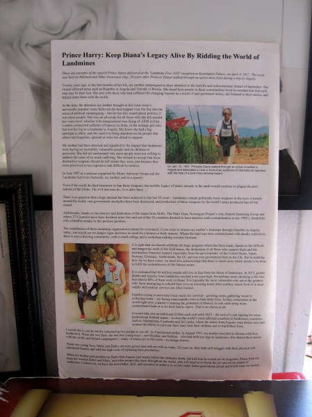 An article about keeping Diana's legacy alive by eliminating landmines around the world.