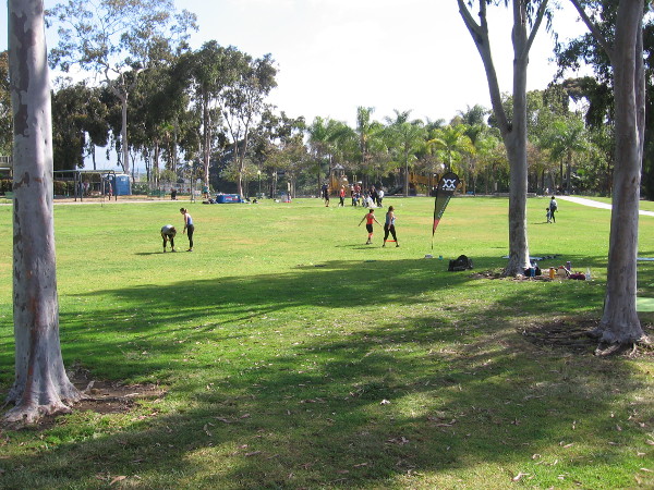 Another sunny San Diego day as people recreate on the grass.