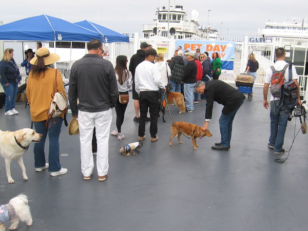 We're at the foot of Hornblower's pier, almost time to board the ship.