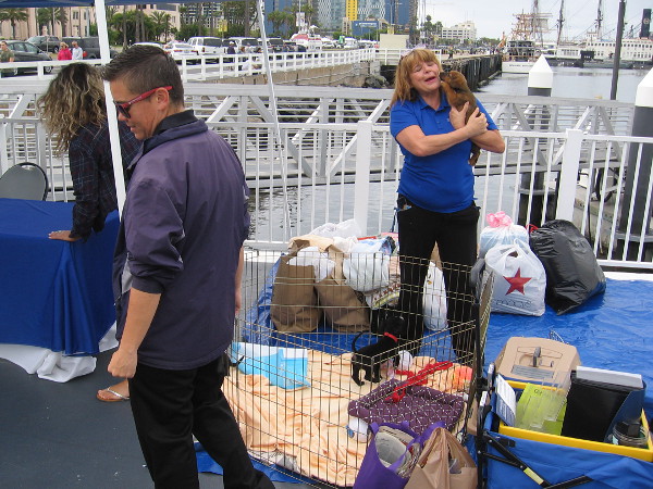 Helen Woodward Animal Center was there, too, with a lot of love and some puppies to adopt.
