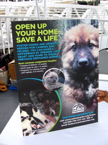 Open up your home--save a life. Foster homes are urgently needed for canines and felines. The Helen Woodward Animal Center with your help saves thousands of precious lives. Please visit animalcenter.org