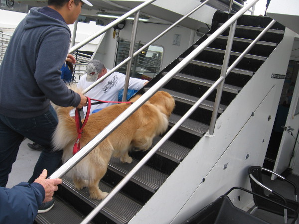 Up some steps onto the upper deck...