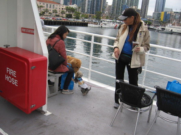 New friends are made on deck, as we await our departure.