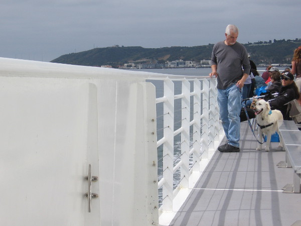 The dogs enjoy the amazing views just as much as the humans.