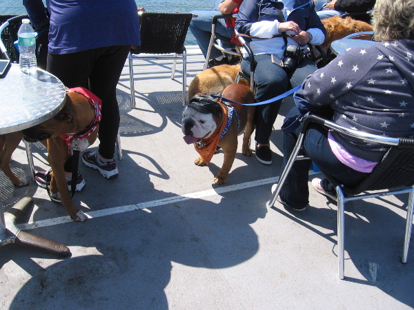 All sorts of characters are hanging out on the ship's deck.