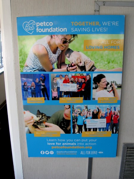 The Petco Foundation is helping to save the lives of animals. Learn how you can put your love for animals into action at PetcoFoundation.org